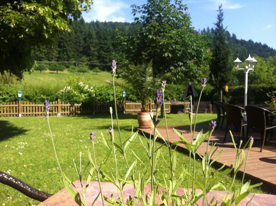 Landgasthof Hirsch Baden-Baden Zewnętrze zdjęcie